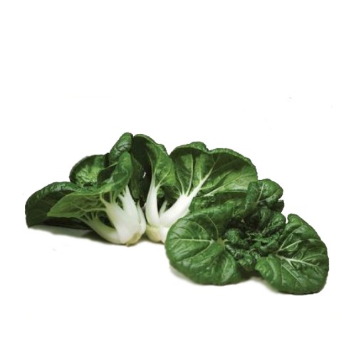 Nai Pak Choy 500g Pkt